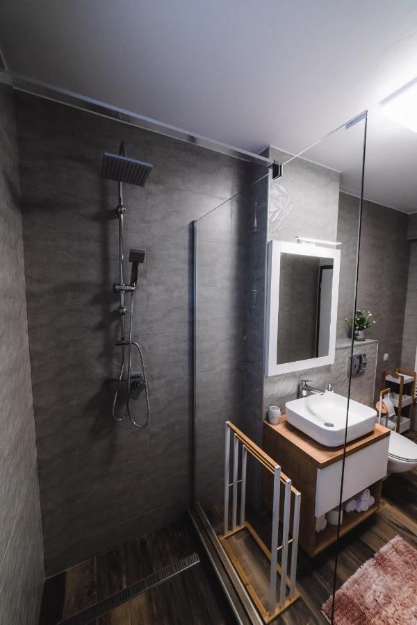 Kogalniceanu Apartments Сибиу Экстерьер фото